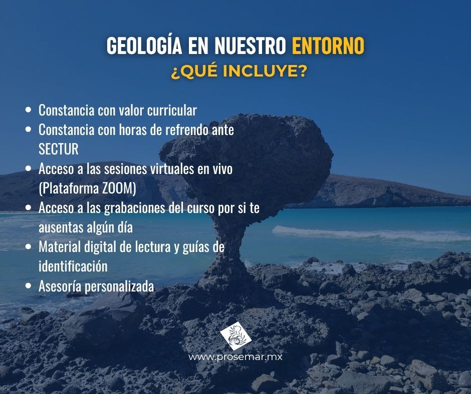 Curso en línea Geología en Nuestro Entorno 6 Curso en línea Geología en Nuestro Entorno - Imagen 6