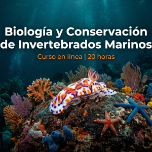 Curso en línea de Biología y Conservación de Invertebrados Marinos (Refrendo SECTUR)