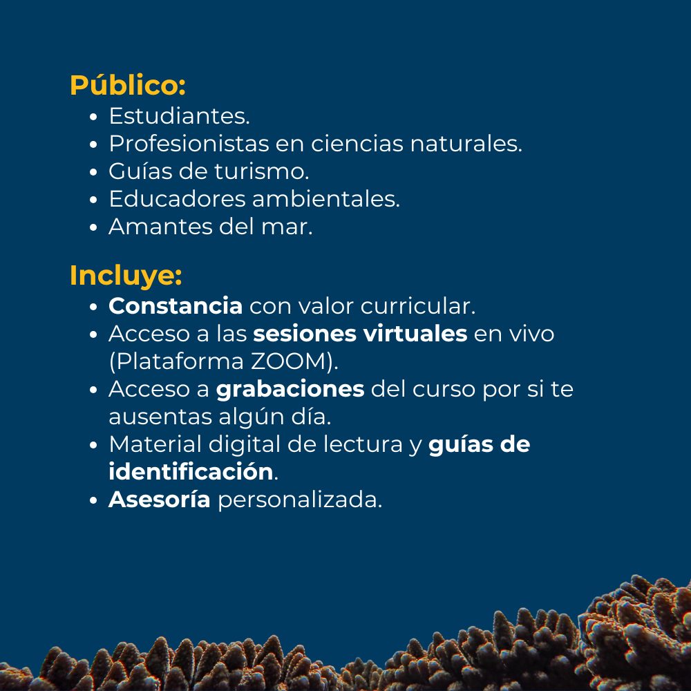 Curso en línea de Introducción a los Ecosistemas Marinos 5 curso-introduccion-a-los-ecosistemas-marinos-de-mexico