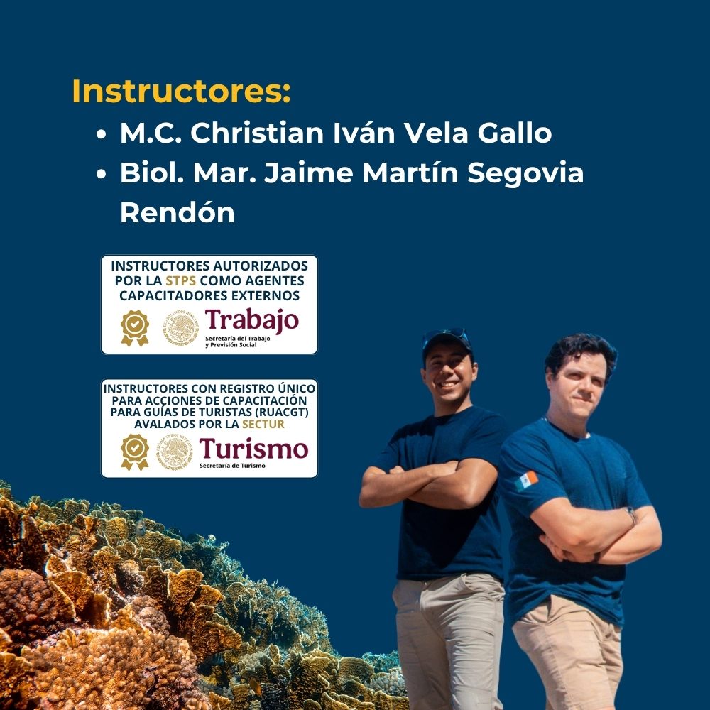Curso en línea de Introducción a los Ecosistemas Marinos 6 instructores-curso-introduccion-a-los-ecosistemas-marinos-de-mexico