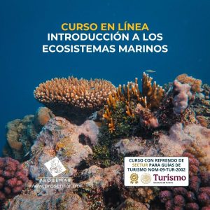 prosemar-curso-en-linea-de-introduccion-a-los-ecosistemas-marinos-de-mexico-sectur