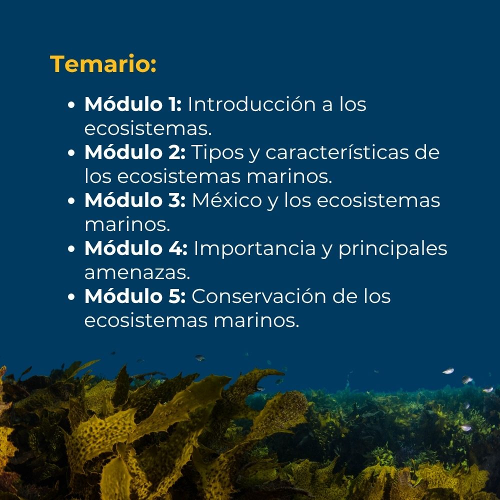 Curso en línea de Introducción a los Ecosistemas Marinos 3 temario-introduccion-a-los-ecosistemas-marinos-de-mexico
