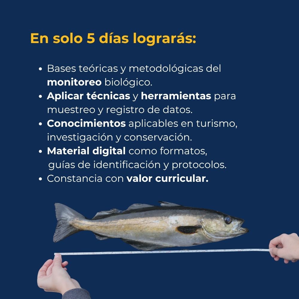 Curso en línea Fundamentos del Monitoreo de Peces Marinos 4 Curso en línea Fundamentos del Monitoreo de Peces Marinos - Imagen 4
