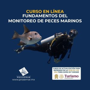 curso_en_linea_monitoreo_de_peces_marinos