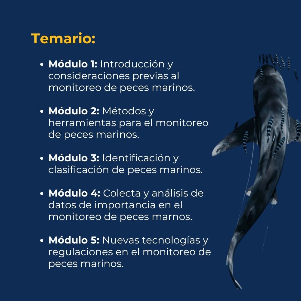 Curso en línea Fundamentos del Monitoreo de Peces Marinos 2 temario_monitoreo_peces_marinos