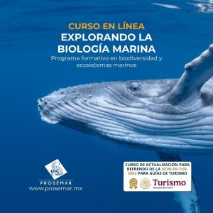 PROSEMAR-portada-curso-linea-biologia-marina-sectur