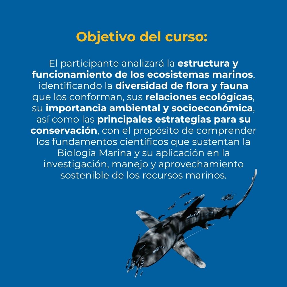 Curso en línea Explorando Biología Marina en Línea (40 horas) 2 PROSEMAR-obj-curso-linea-biologia-marina-sectur