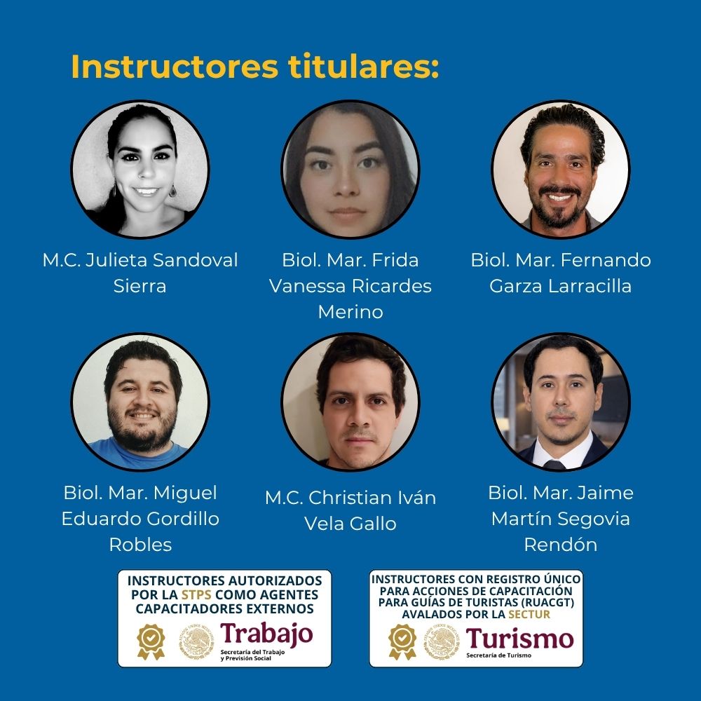 Curso en línea Explorando Biología Marina en Línea (40 horas) 5 PROSEMAR-12-instructores-linea-biologia-marina-sectur