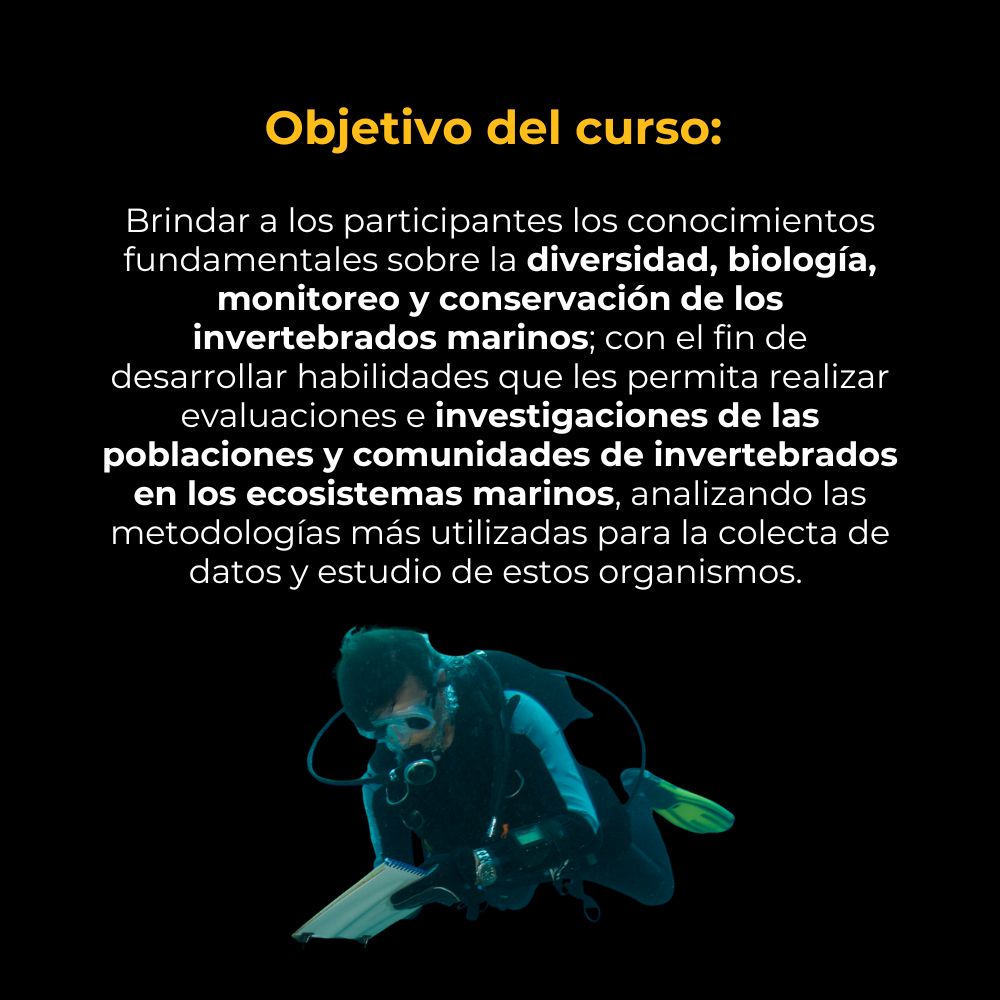Curso en Línea de Invertebrados Marinos: Biología, Identificación, Monitoreo y Conservación | 20 horas 2 curso-en-linea-invertebrados-marinos-objetivos