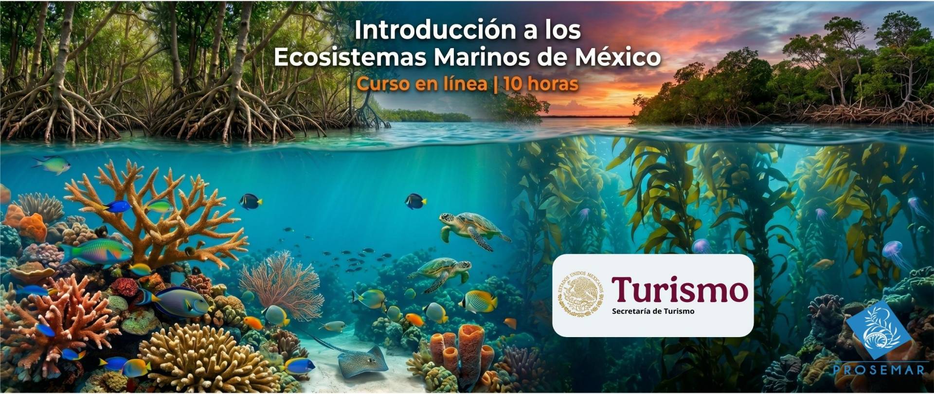 prosemar curso linea refrendo sectur ecosistemas marinos
